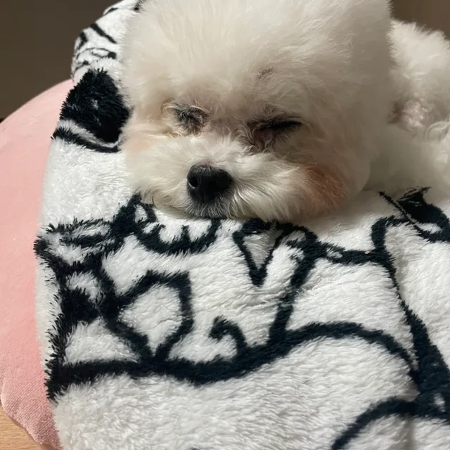 땅근땅근