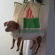 상냥팔이