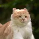 간편하게