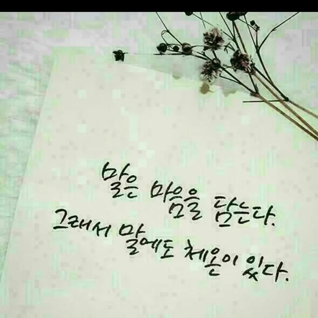 티오피