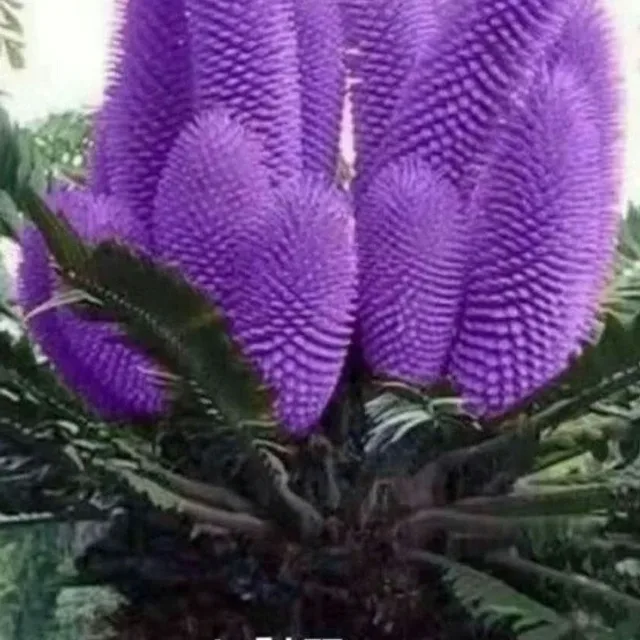 행복가득