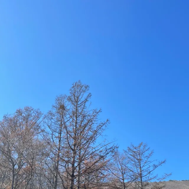 가나다라