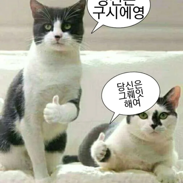 고먐미