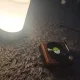 프리먼
