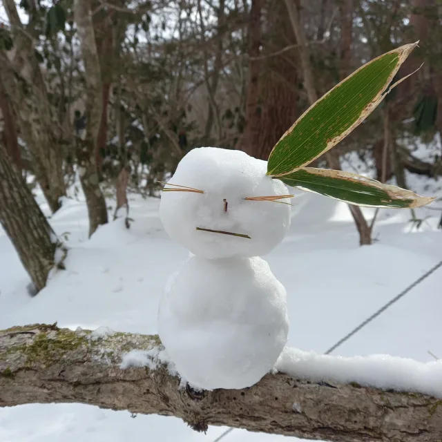 로티플
