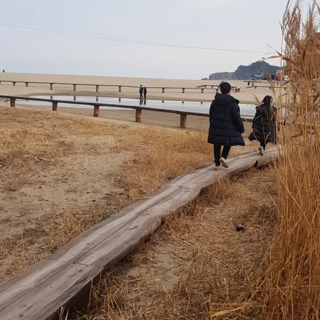 쩡은