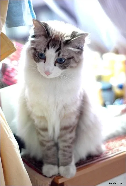마린이