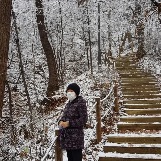 법하연