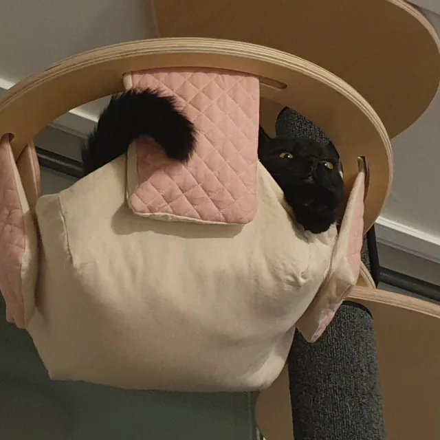 라이키할미