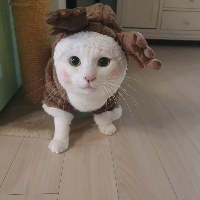땡큐