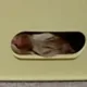 담덕