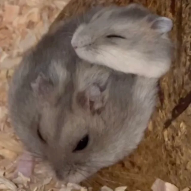 더워요