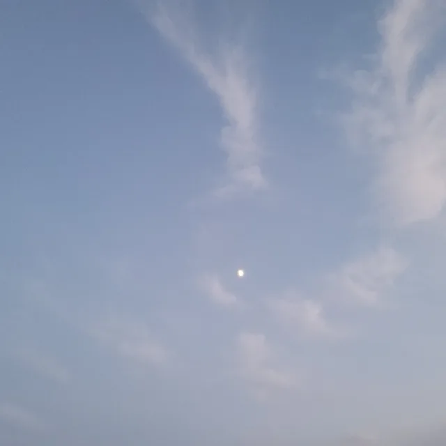 진주살이