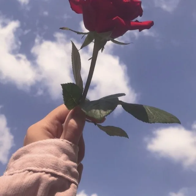 석진아