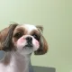 콩이아빠