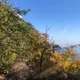 비행기