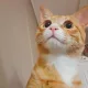 복만