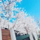 쩡스