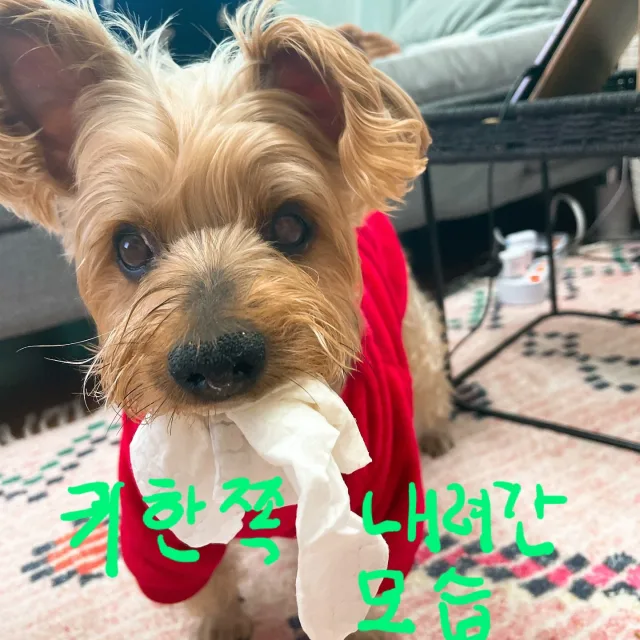 깜돌이아빠