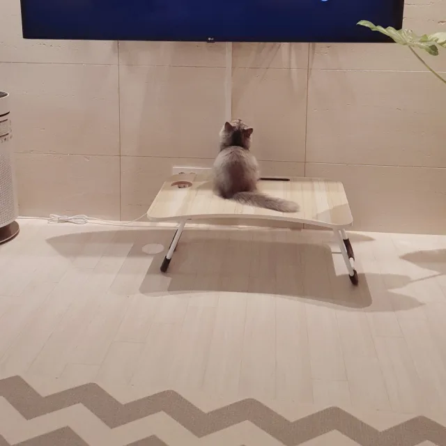 노을빛