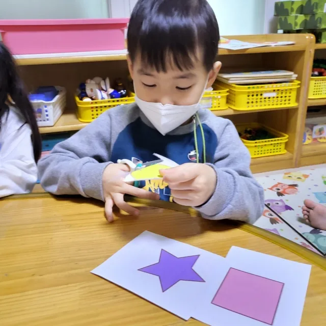 겸둥고양이