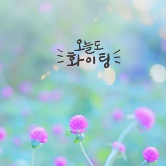해피