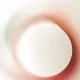 몽땅사