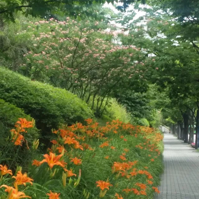 셩이버섯