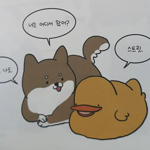 당근당근