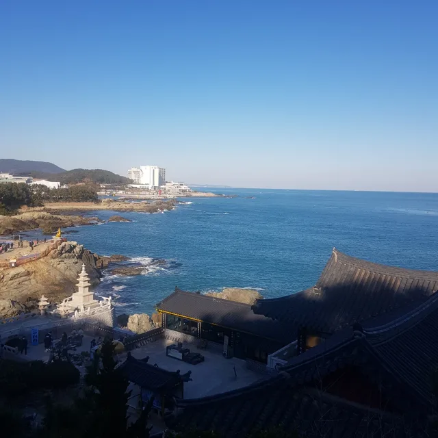 푸름이