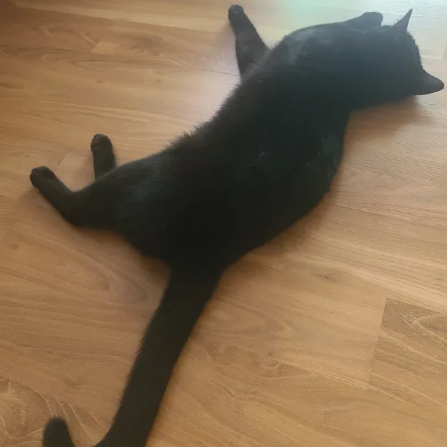 하푸푸