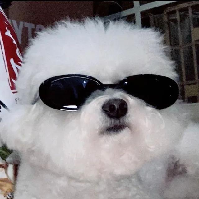 당갱
