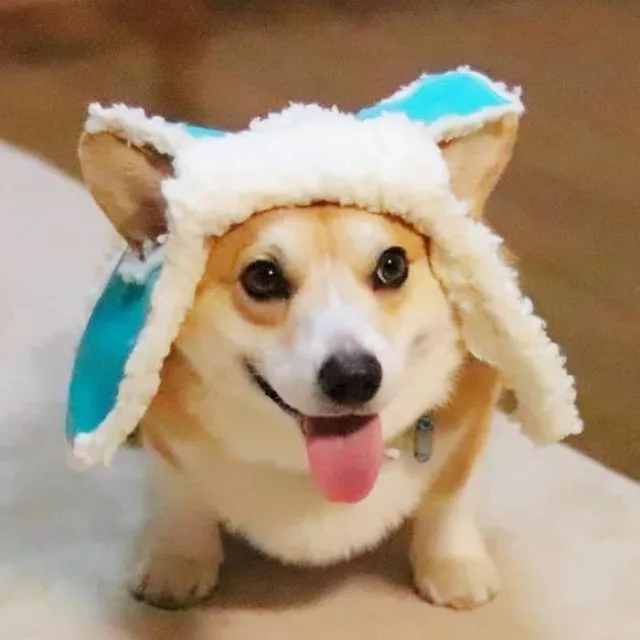 청량리헬스보이