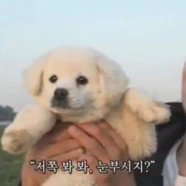 오늘만산다