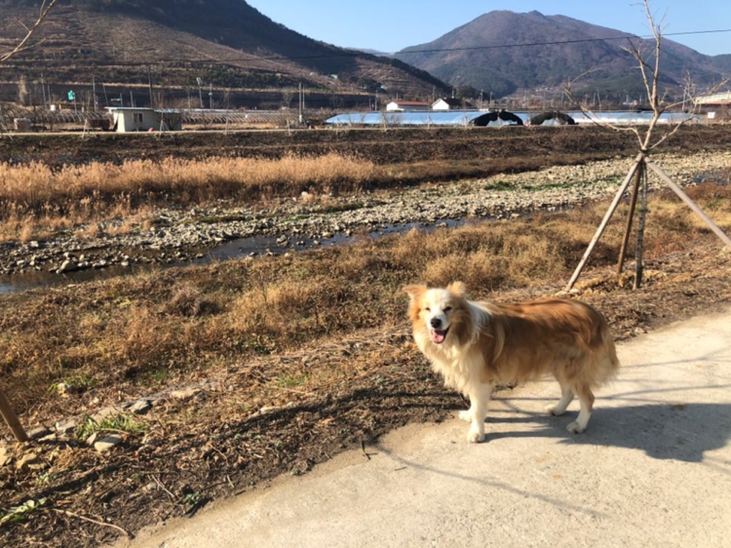 한글아빠