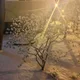 쥬쥬