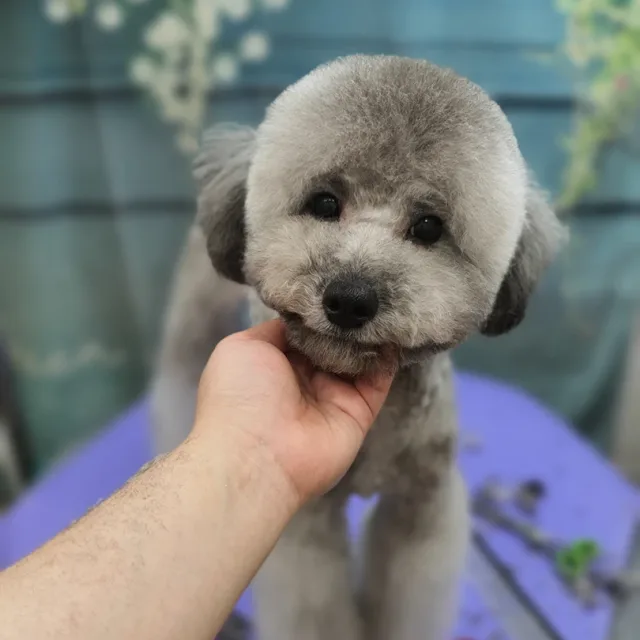 쏘야예요
