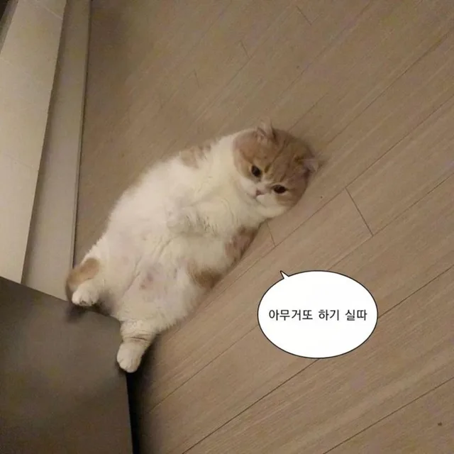 율무
