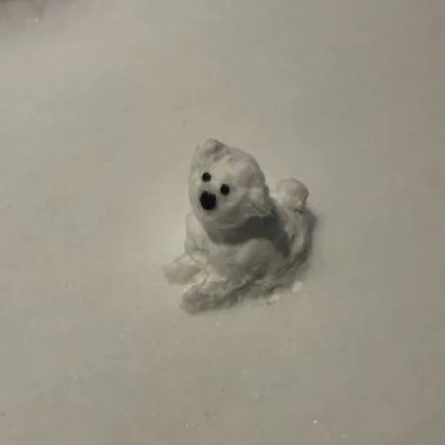 이잇