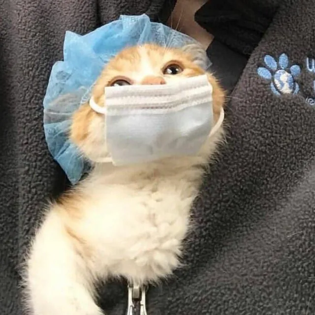 달님