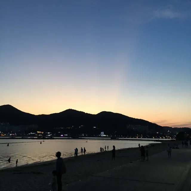 진청