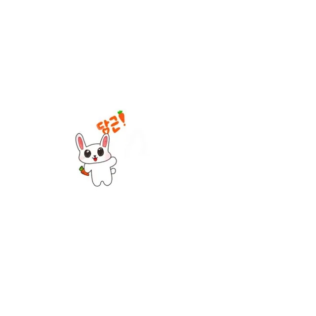 포로리