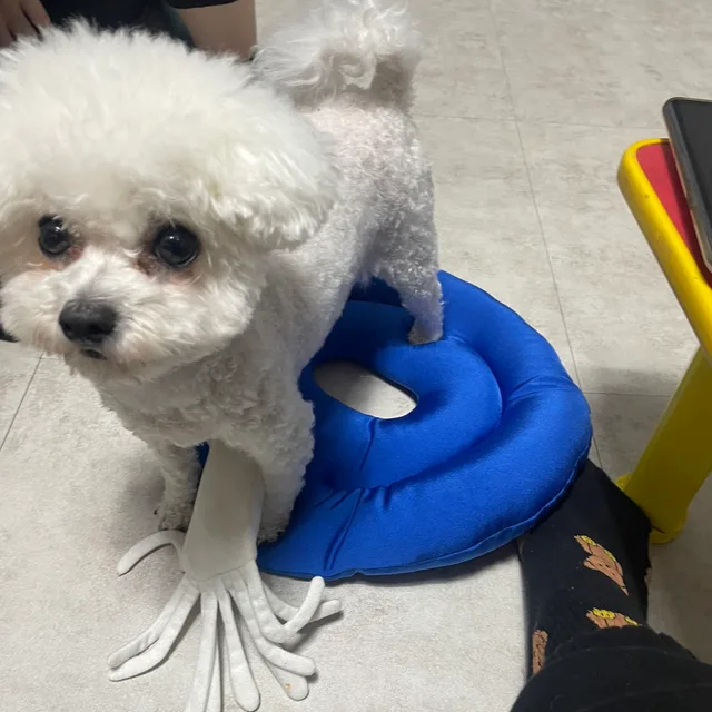 은디킴