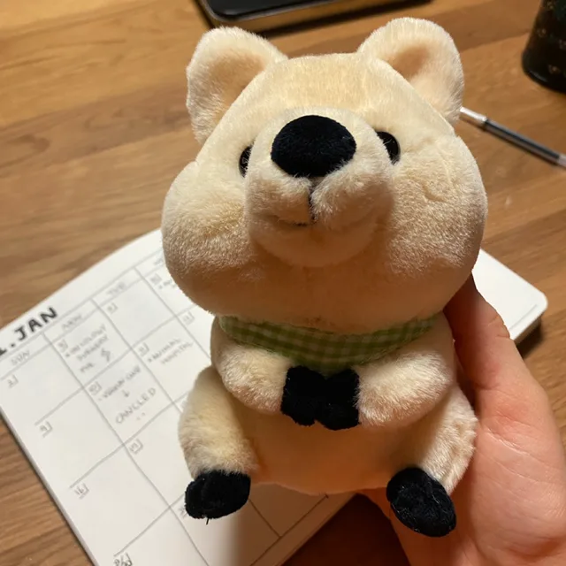 쨔잔