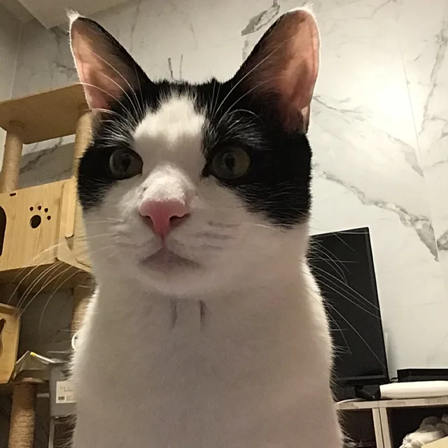 둥둥
