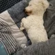 우리쏭