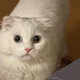 네이마르