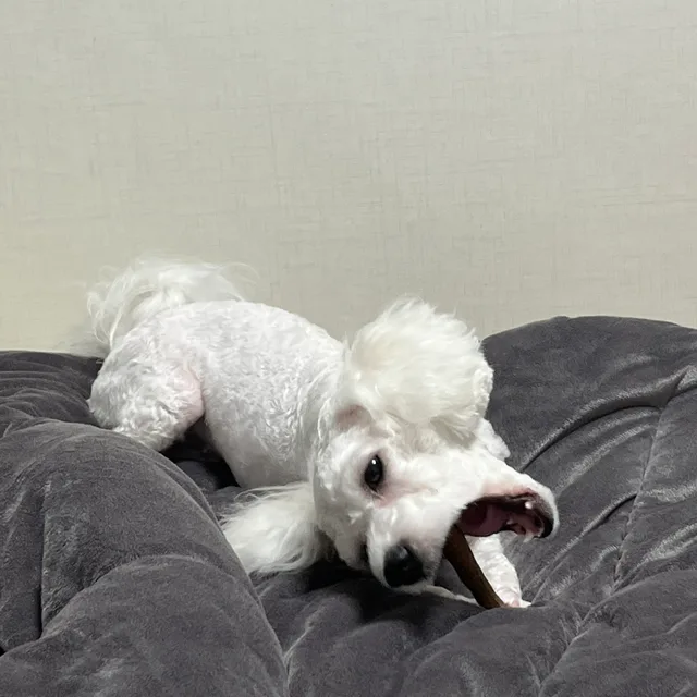 새벽에는라면