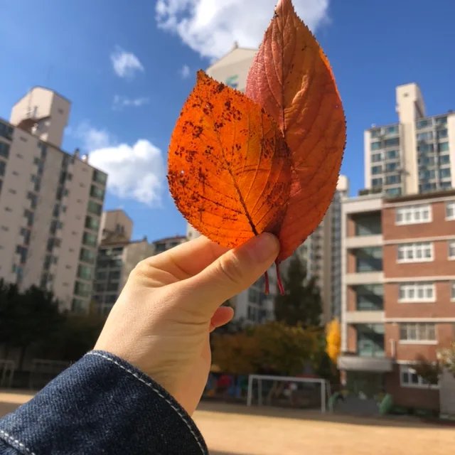 친절거래