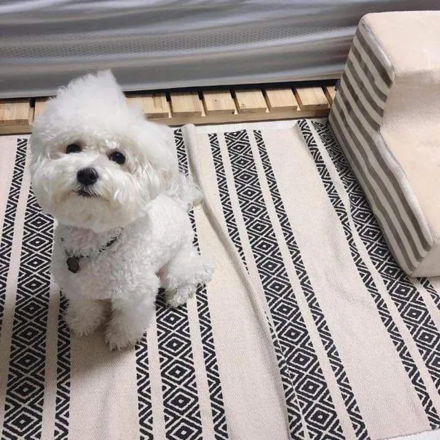 로하커